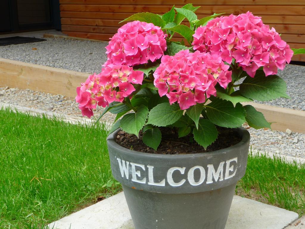 Le Jardin Aux Oiseaux Bed & Breakfast Ferel Room photo