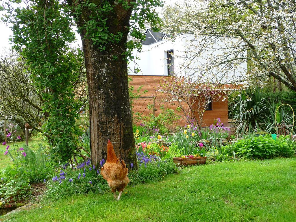 Le Jardin Aux Oiseaux Bed & Breakfast Ferel Room photo