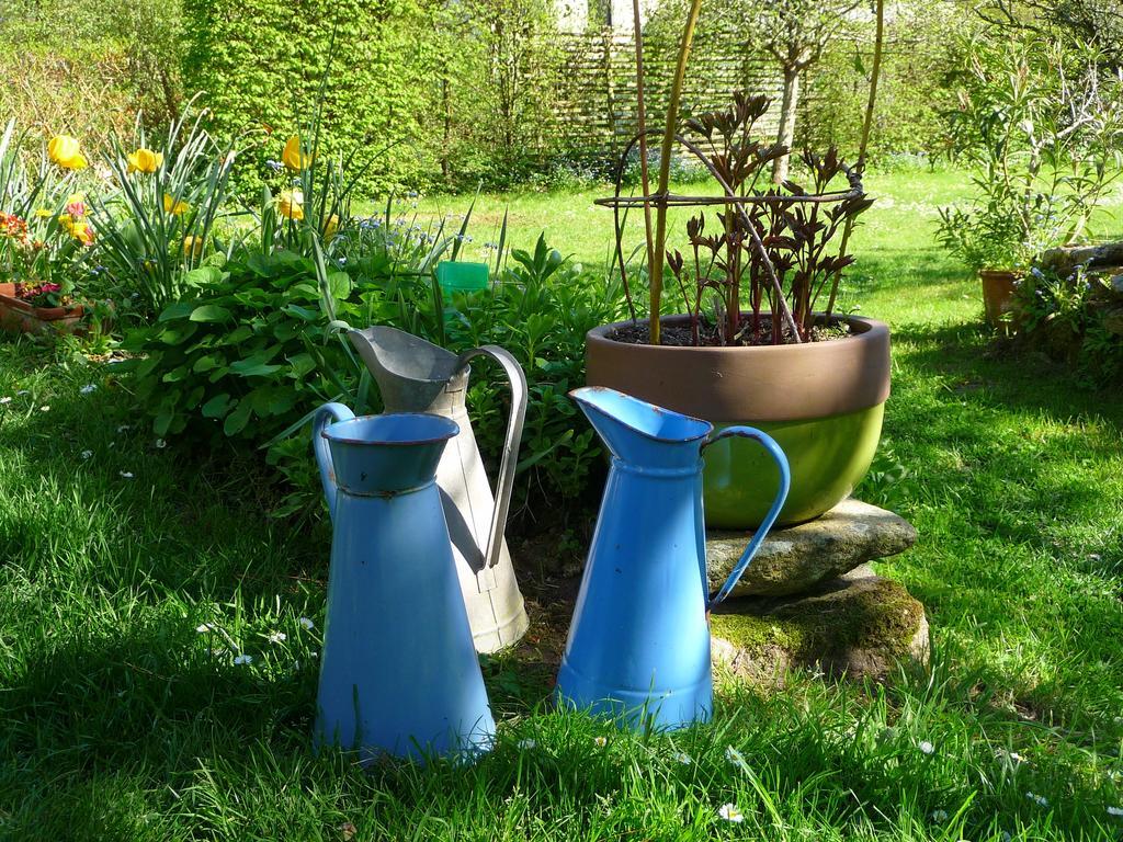Le Jardin Aux Oiseaux Bed & Breakfast Ferel Room photo